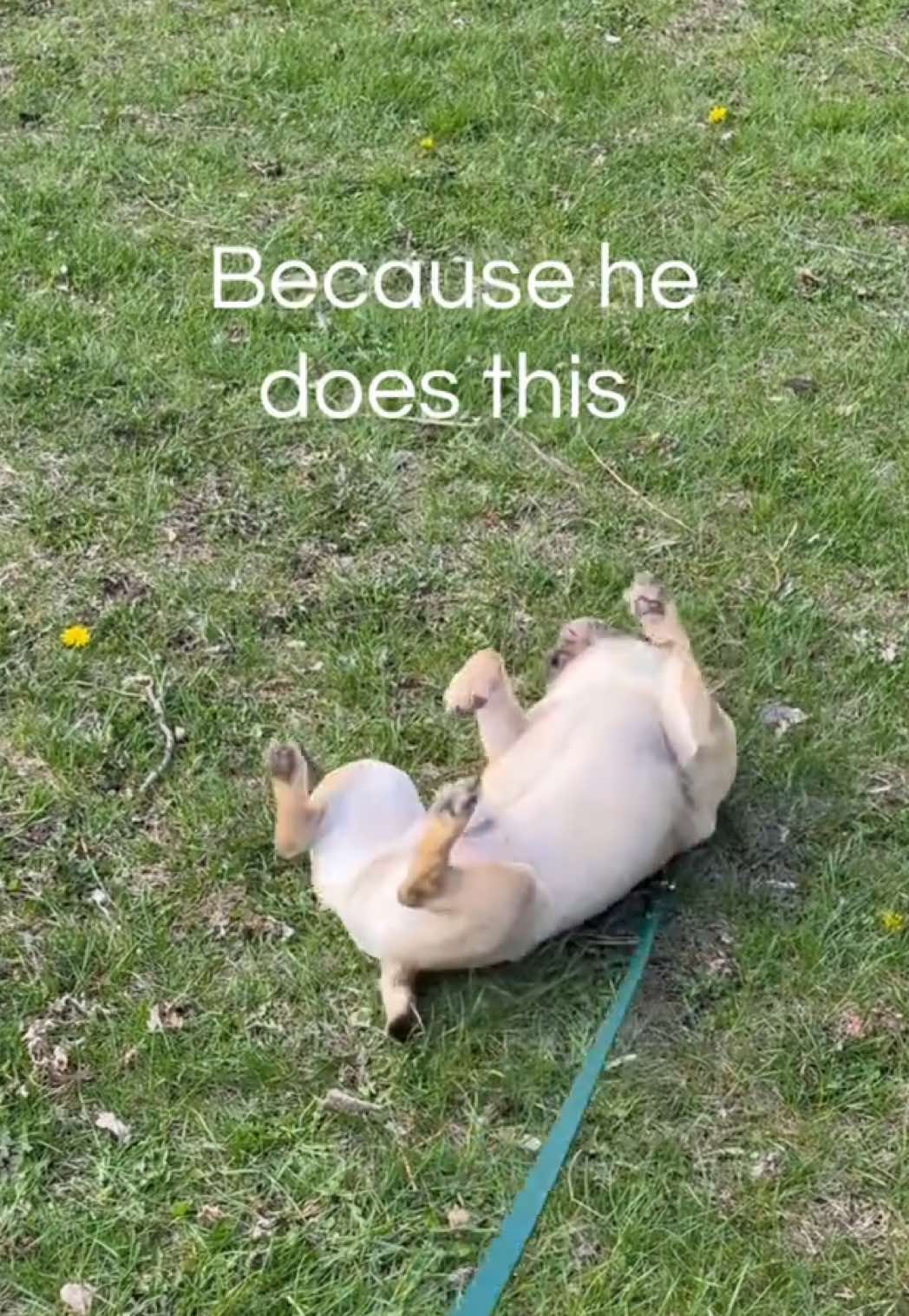 @earthrated