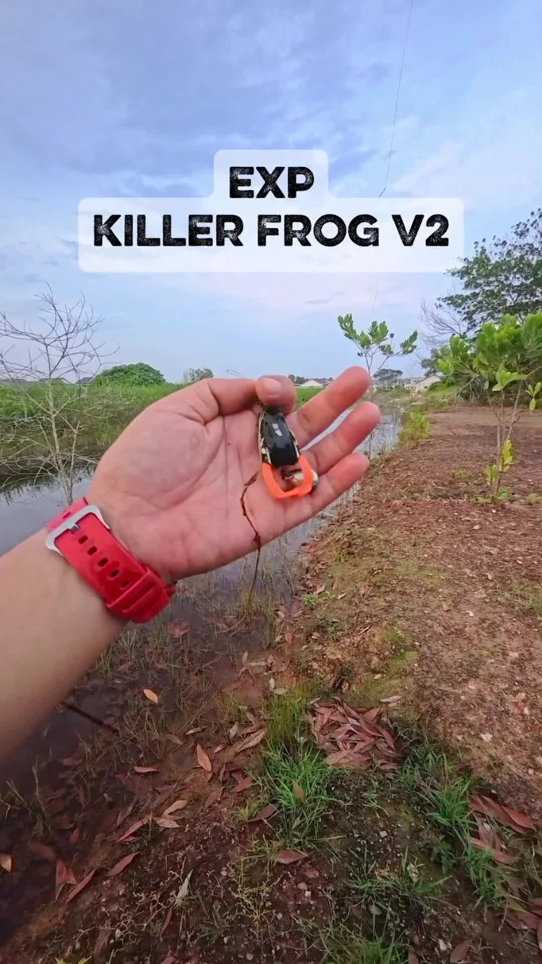@Papa X Kumpau