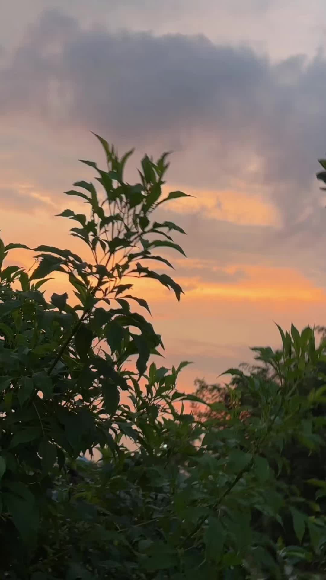 @TharshiniTharsu