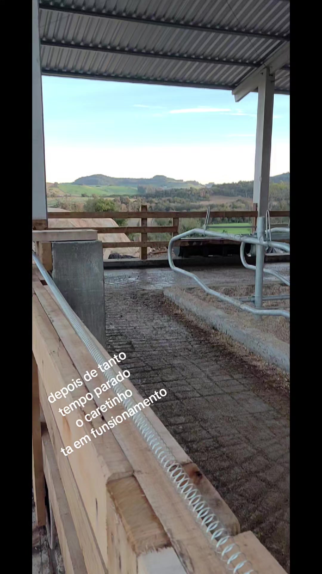 @agro é tudo beltrame