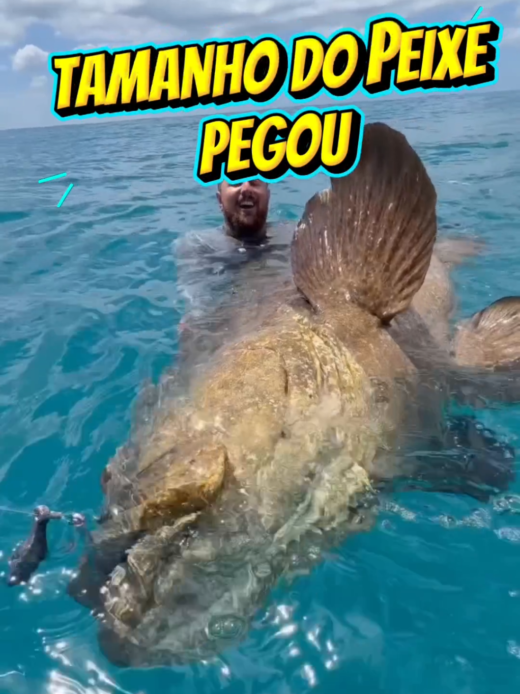 @TRAVEL PINGUIM