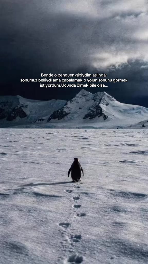 @İzabell🎀