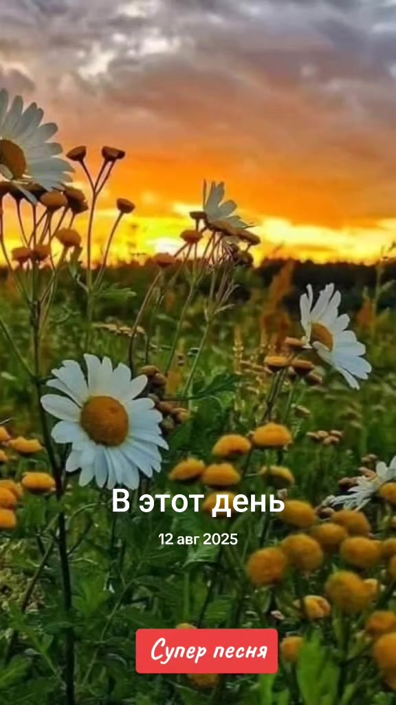 @Tanya
