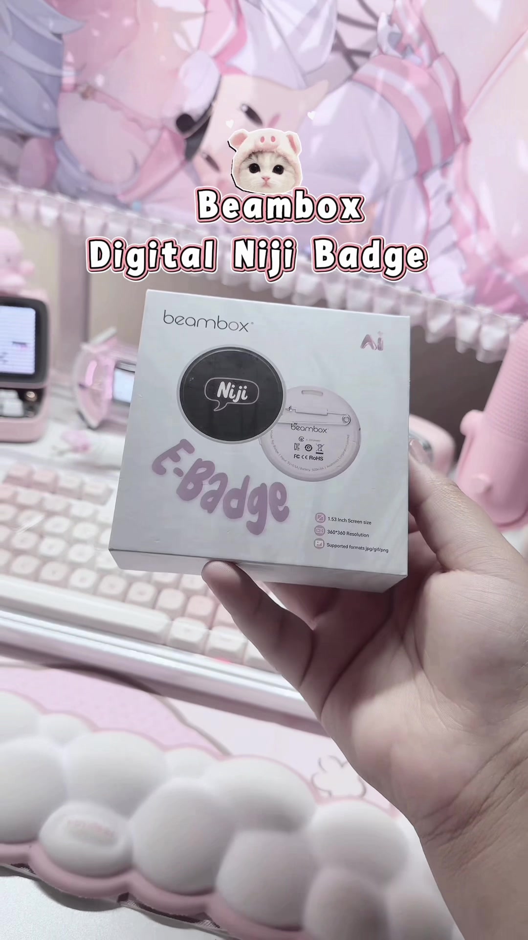 @/ᐠ ˵> ⩊ <˵マ