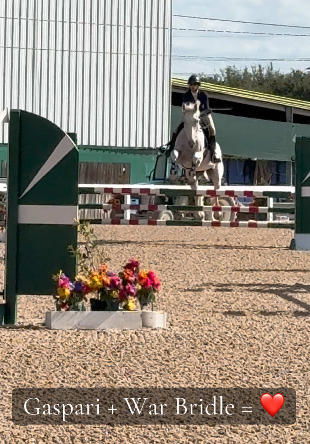 @Grace Equestrian TX