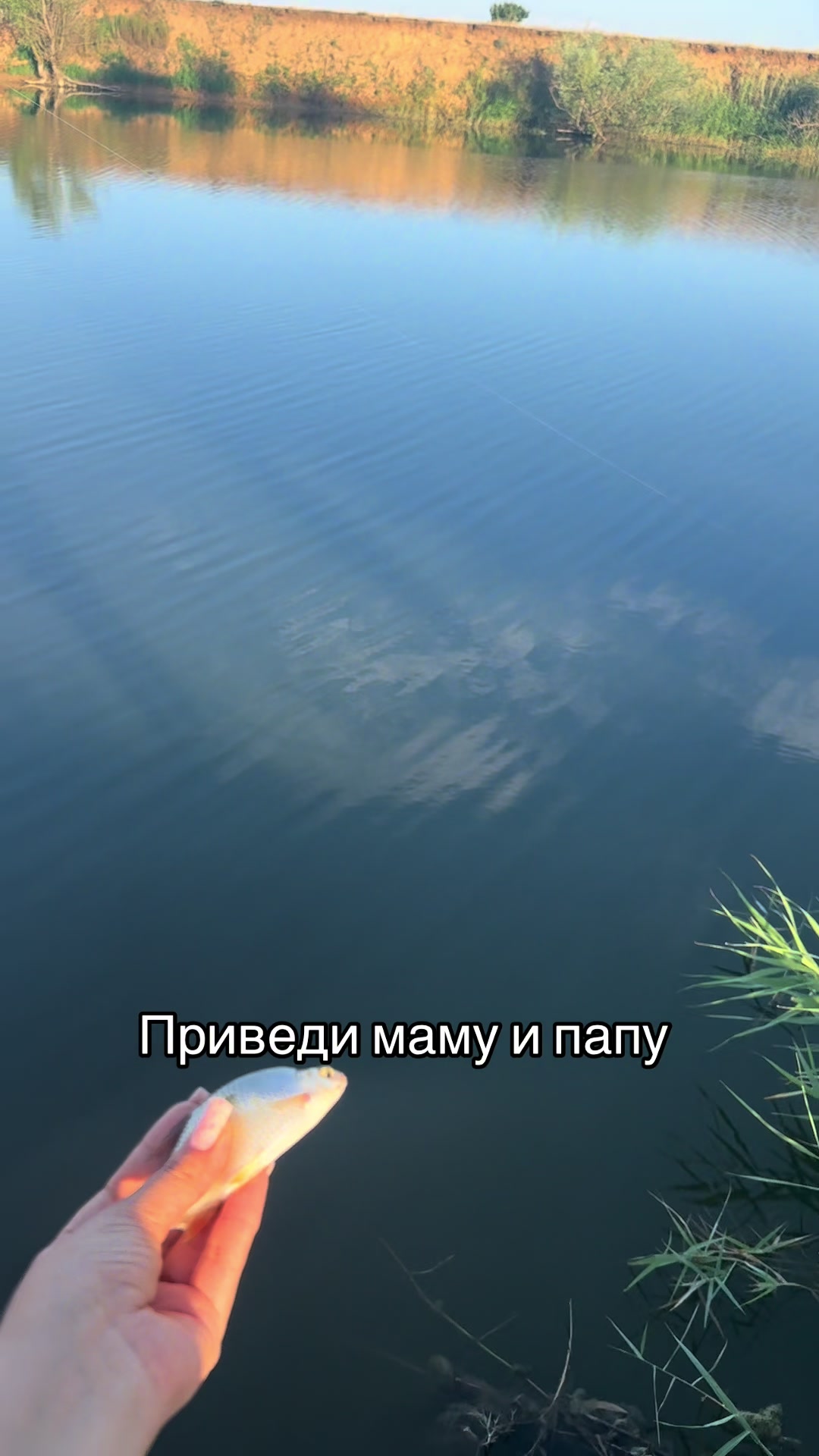 @Anastasia
