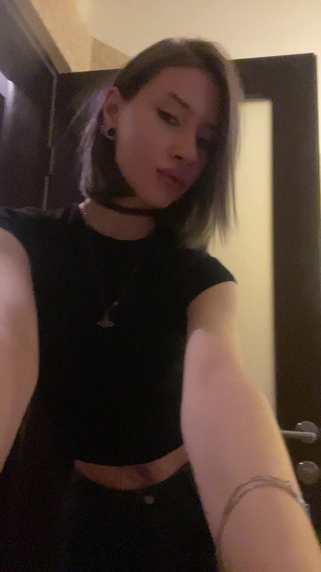 @Schefferdaria🐾