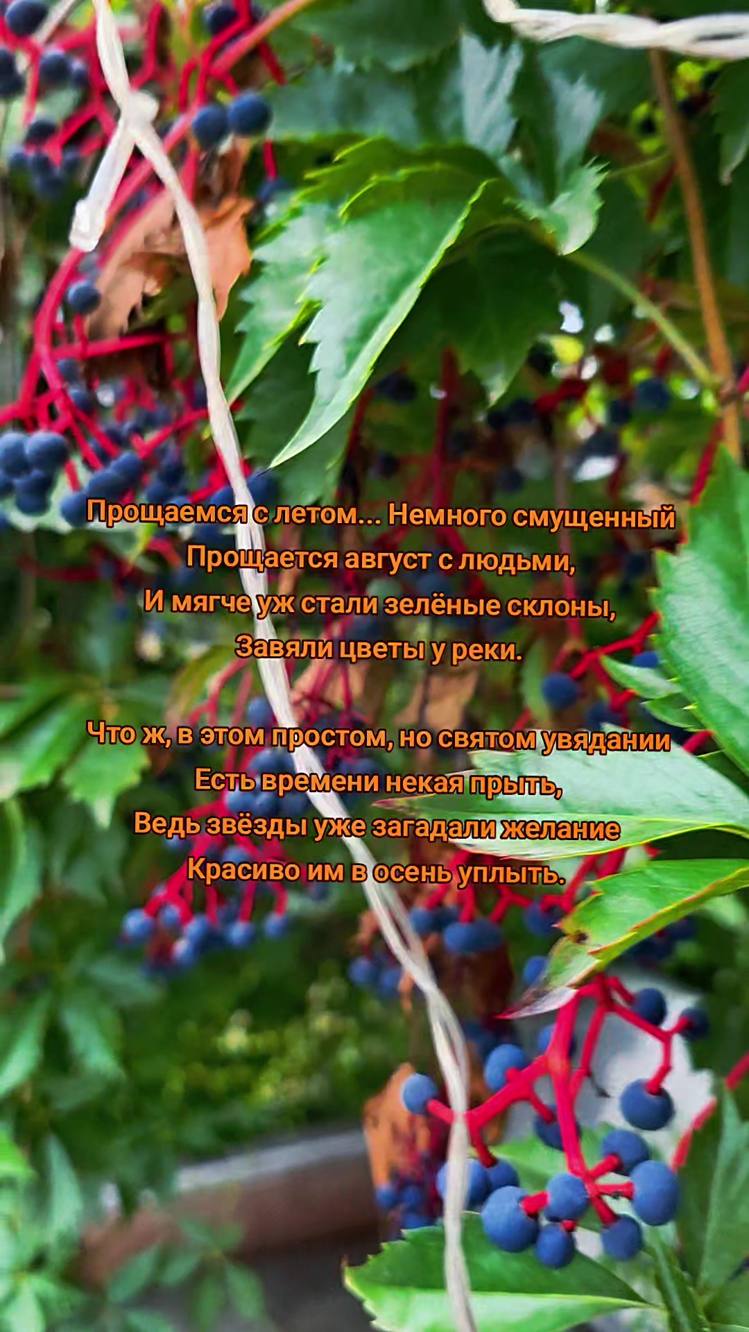 @Яркое Лето
