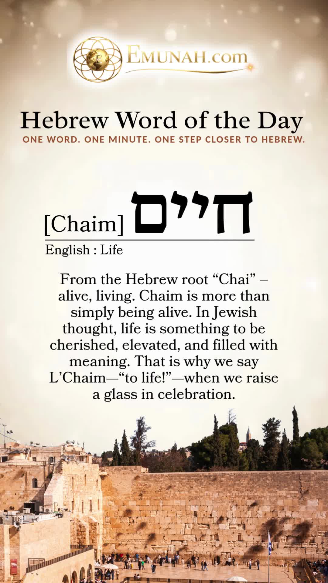 @Rav Dror