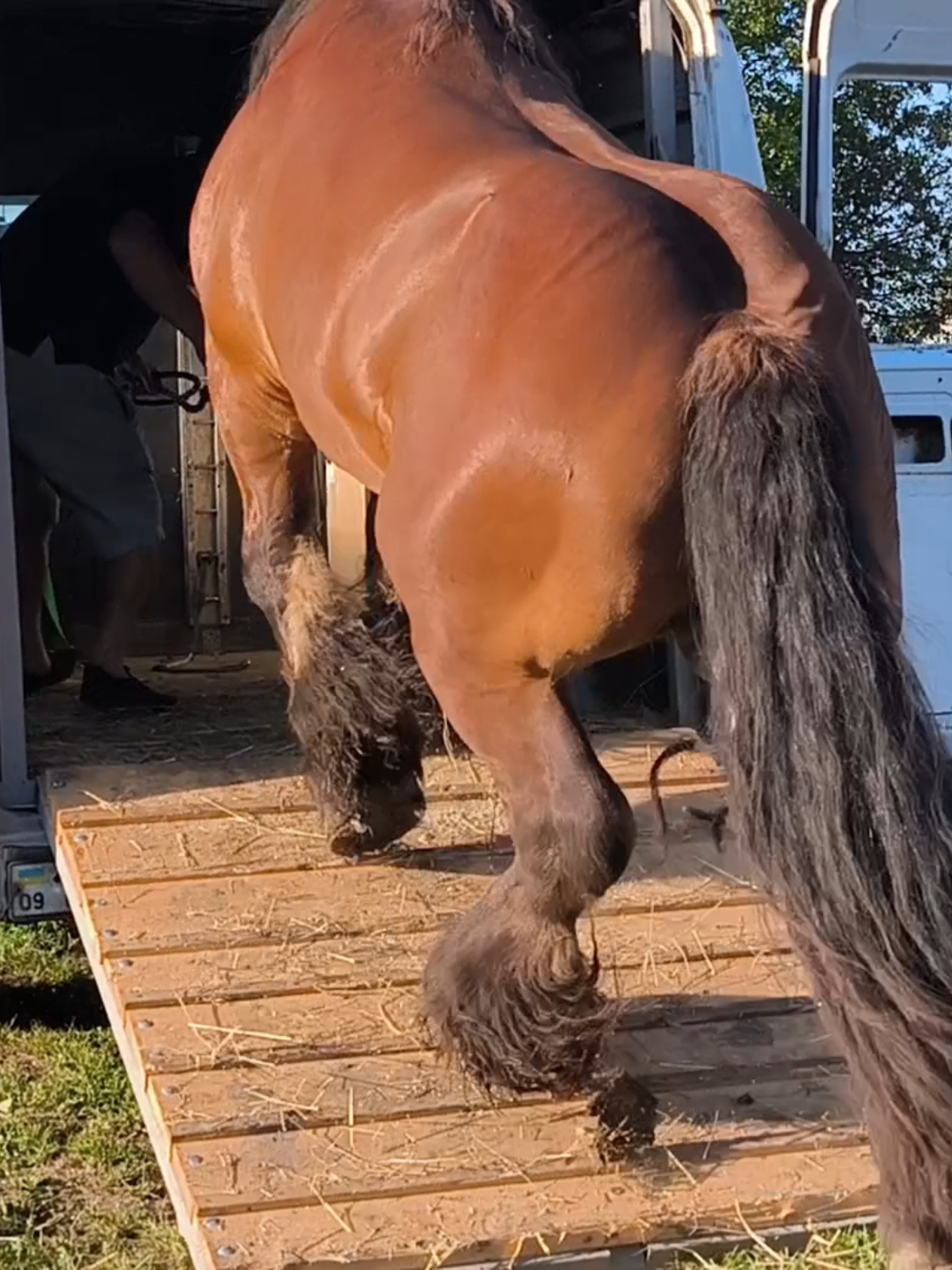 @ВАСЯ БОЙЧУК 🐎