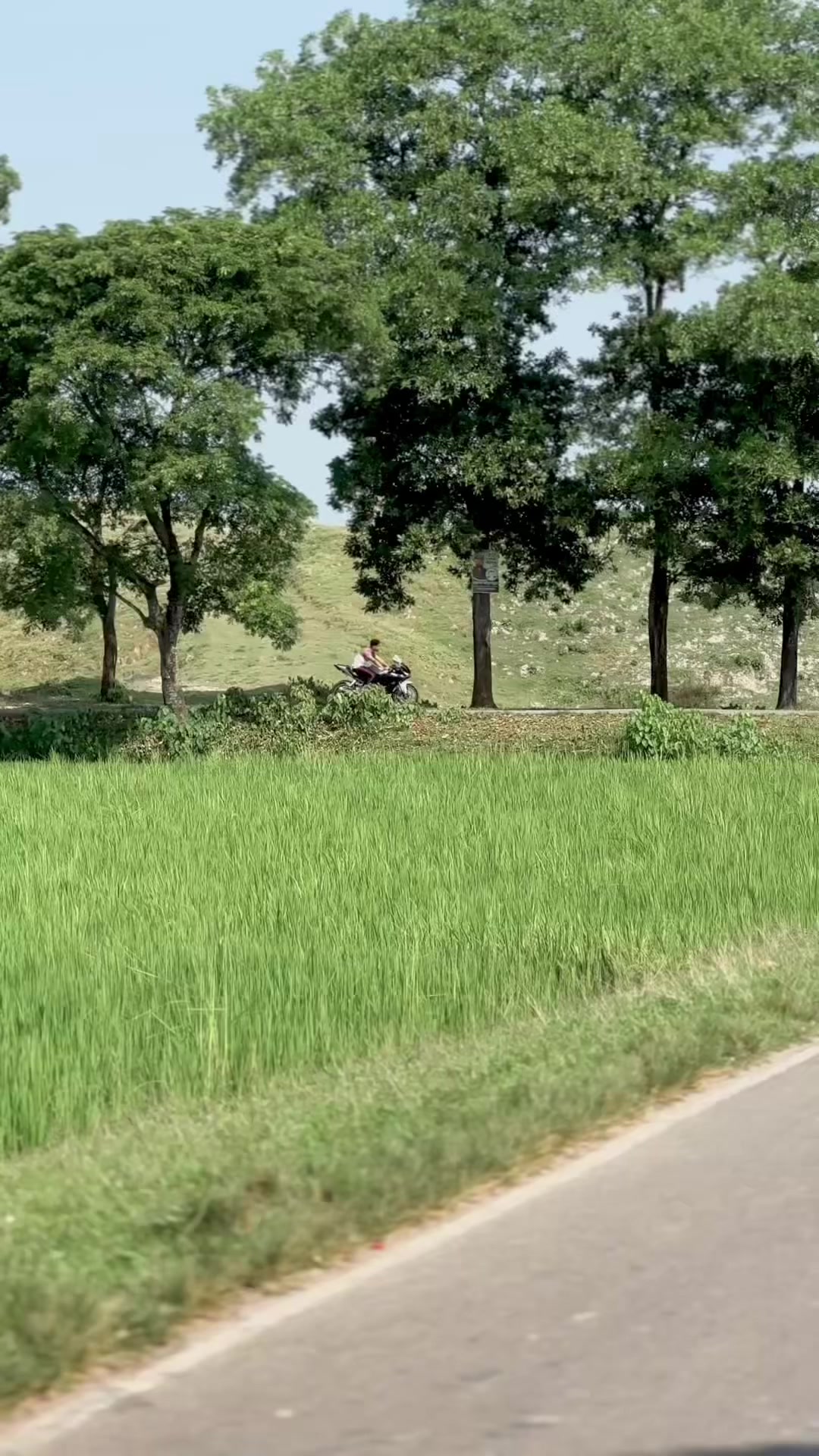 @🕊️سبير
