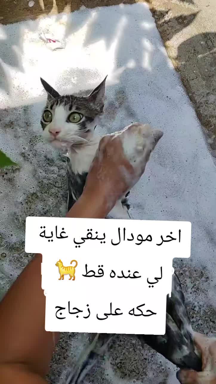 @🐦&zwj;🔥🇩🇿𝕞𝕒𝕪𝕤𝕥𝕣𝕠31🐦&zwj;🔥