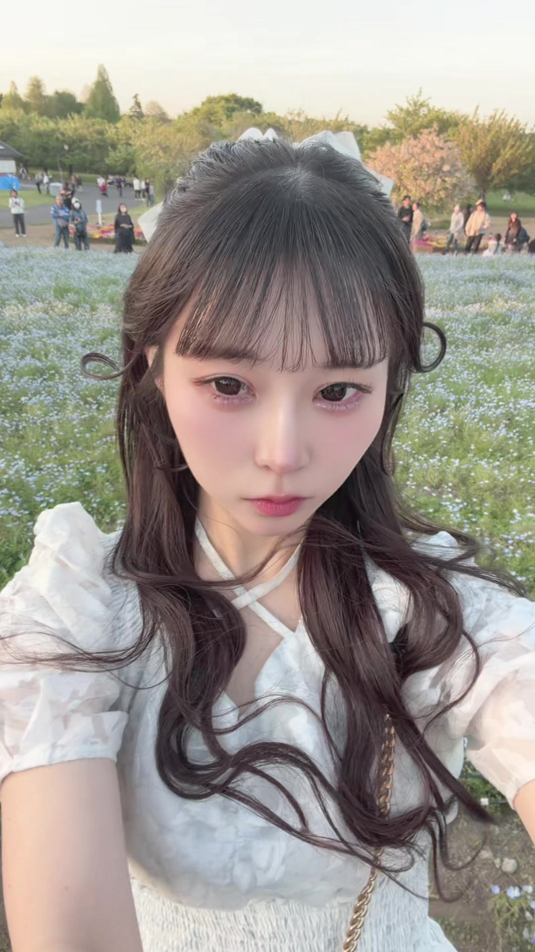 @八雲です