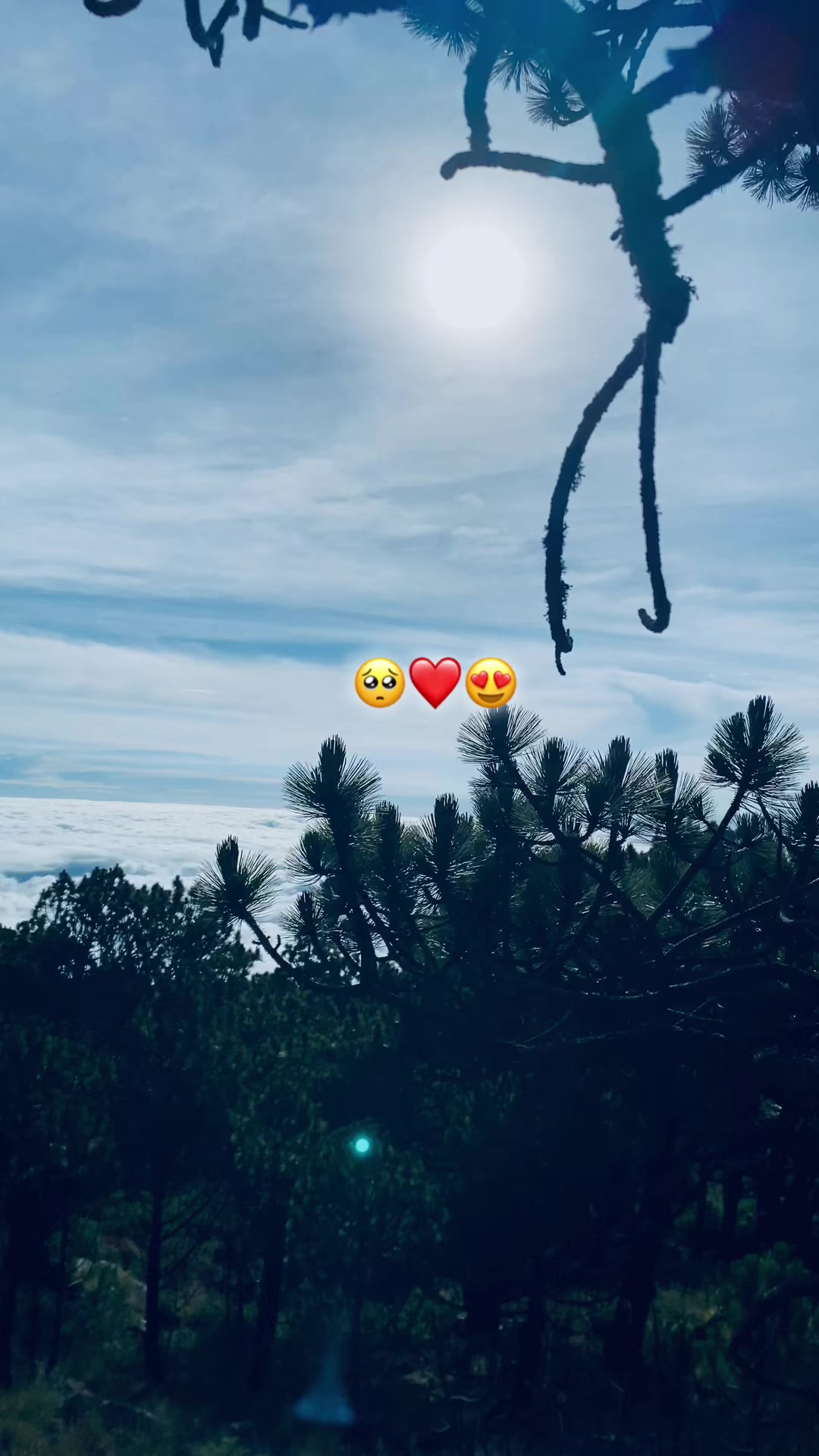 @😻𝓢𝓪𝓵𝓿𝓪𝓭𝓸𝓻🙈💋