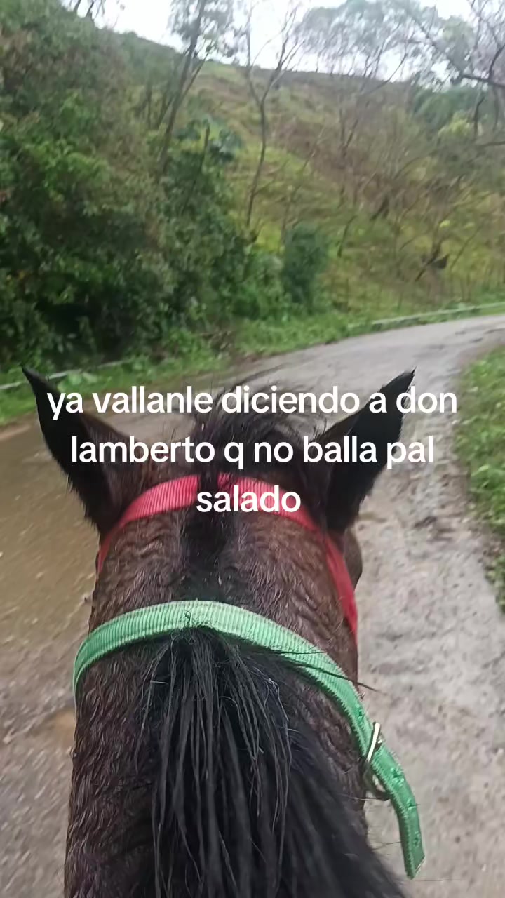 @Bandido De Amores 🥴