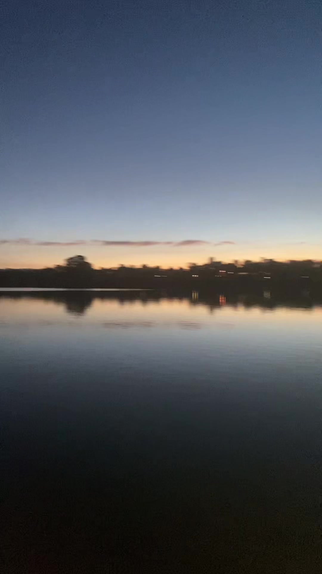 @🖤𝓑𝓛𝓐𝓒𝓚𝓢𝓦𝓐𝓝🦢