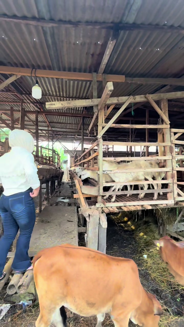 @AL-BAROKAH_FARM