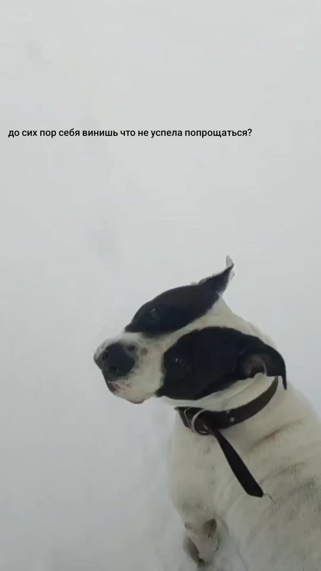 @𝔖𝔥𝔢𝔳𝔦𝔞