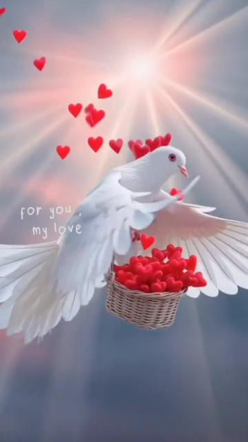 @ያልተቃኝ ቅኔ