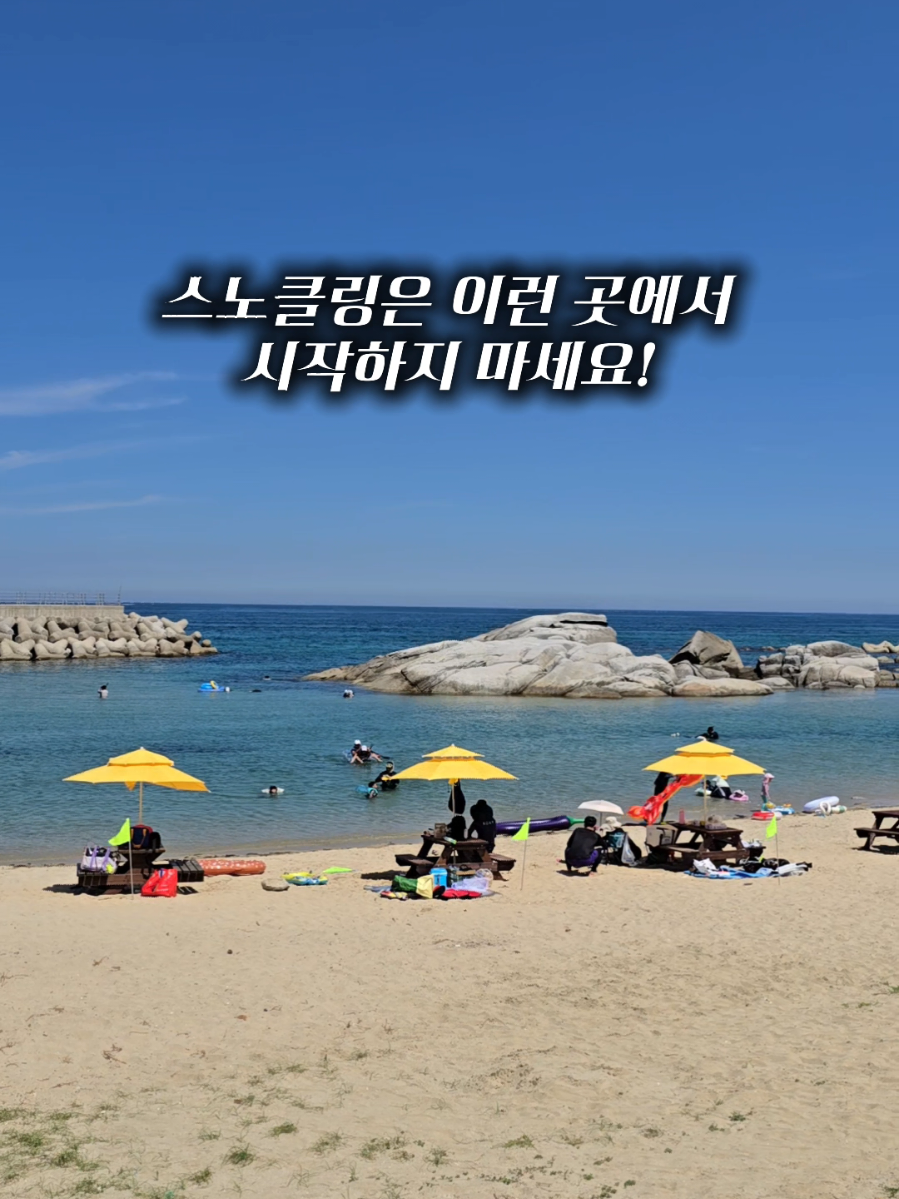 @캠퍼준영