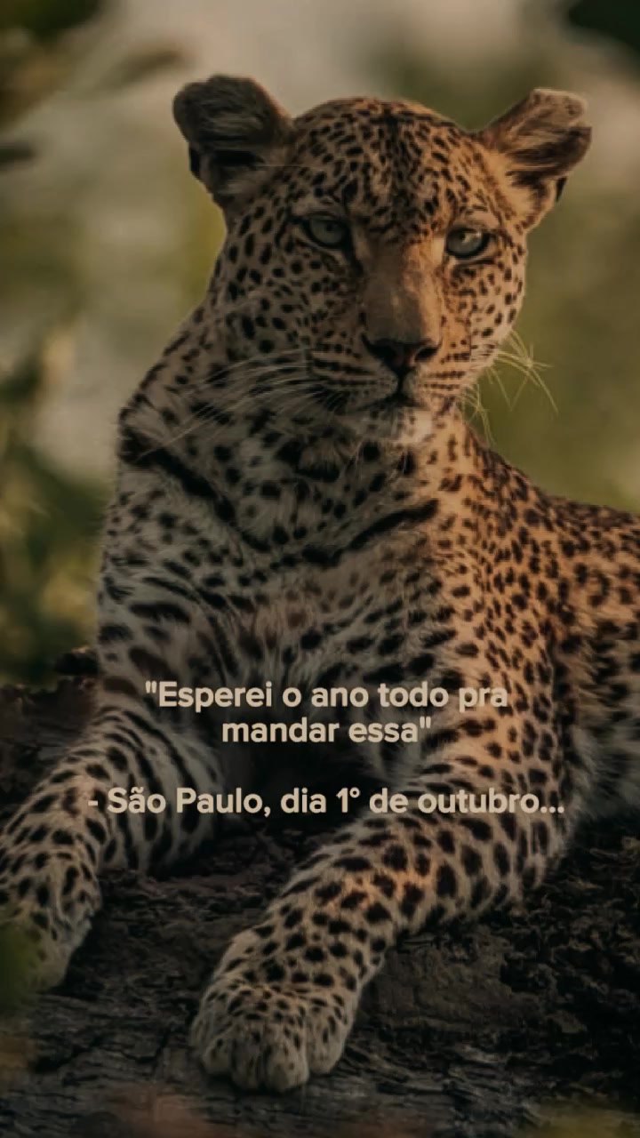 @𝙁𝙚𝙡𝙞𝙣𝙖.𝙈𝙚𝙣𝙩𝙚96🐆❤️