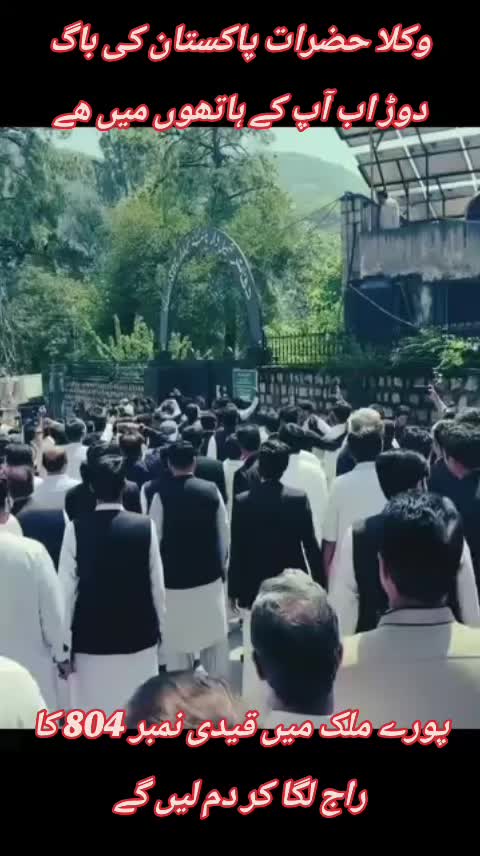 @اڈیالہ 804