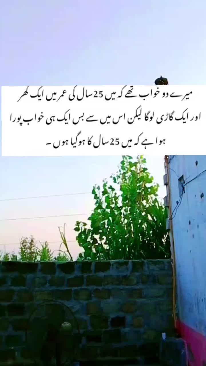 @Murtaza Ahmad👻