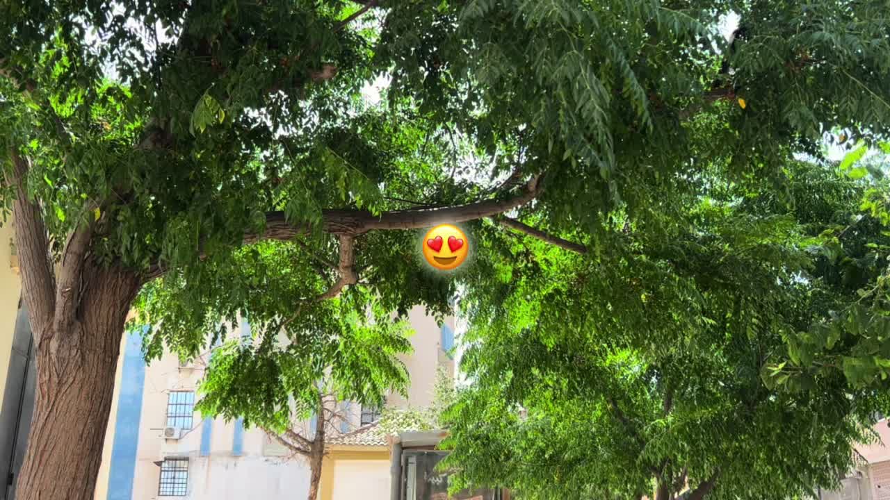 @M ๐ฑ
