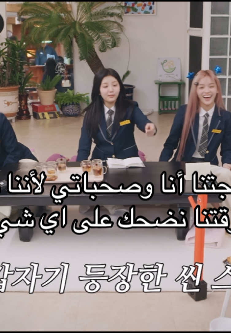 @mimi₊˚
