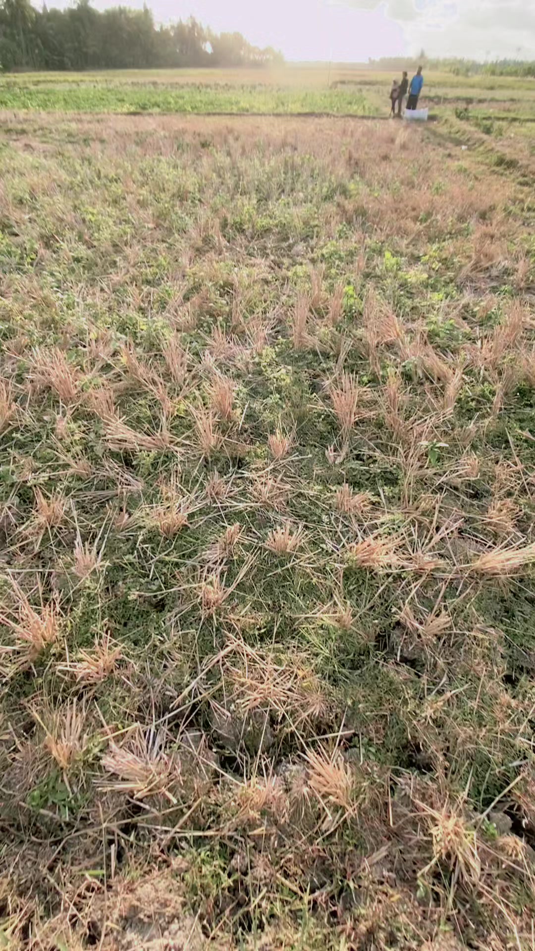 @Anammm💫
