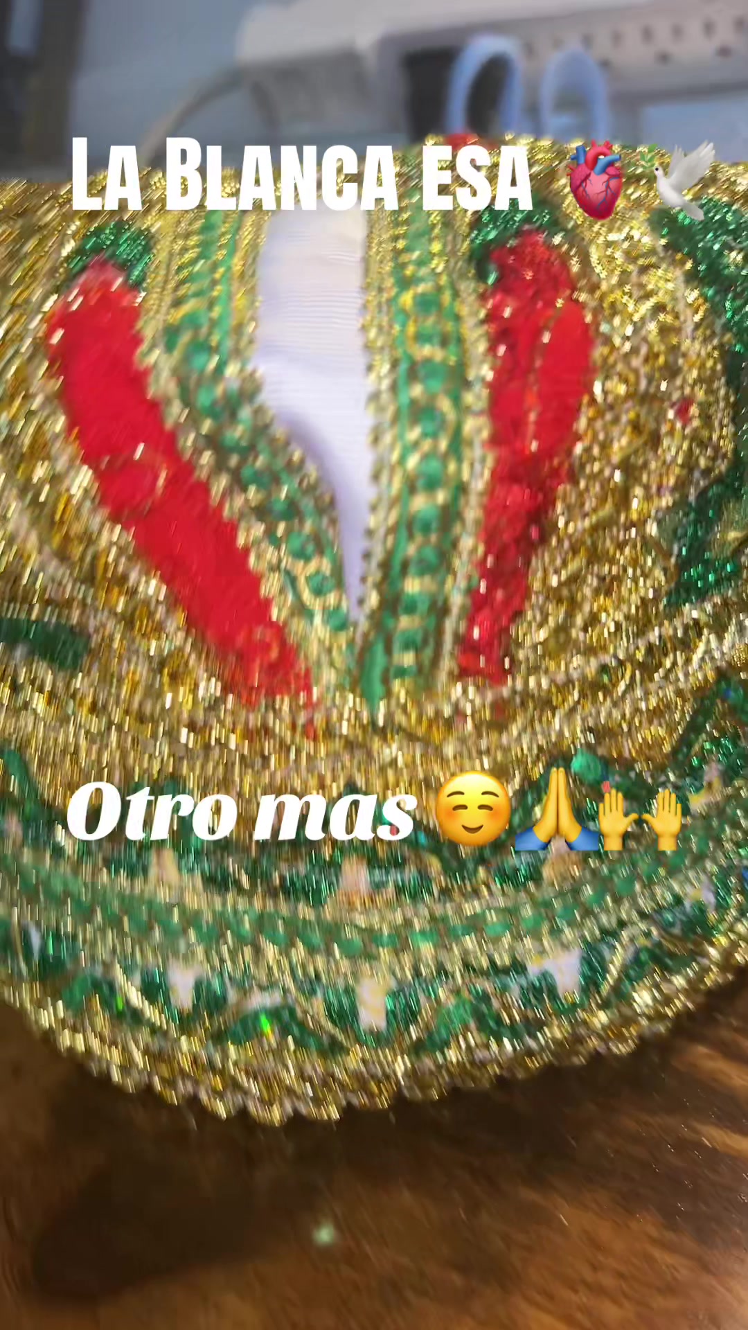 @Lacasadeeggun🤍🖤