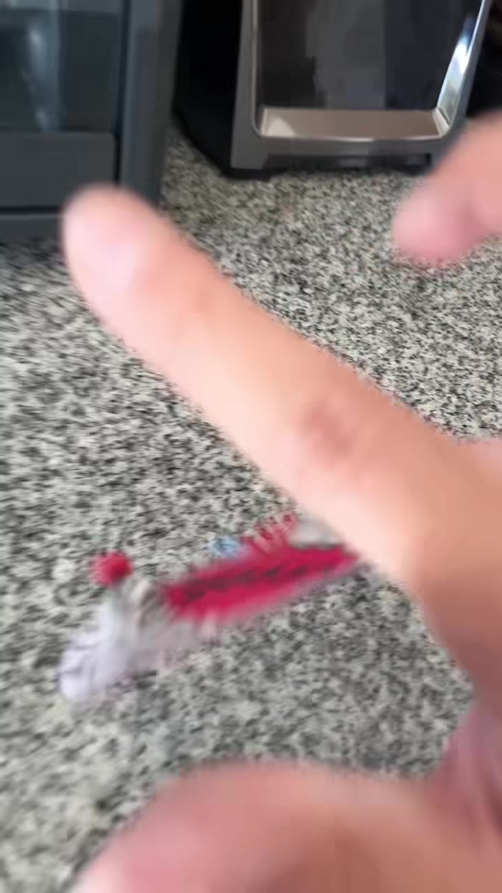 @benjiiiii