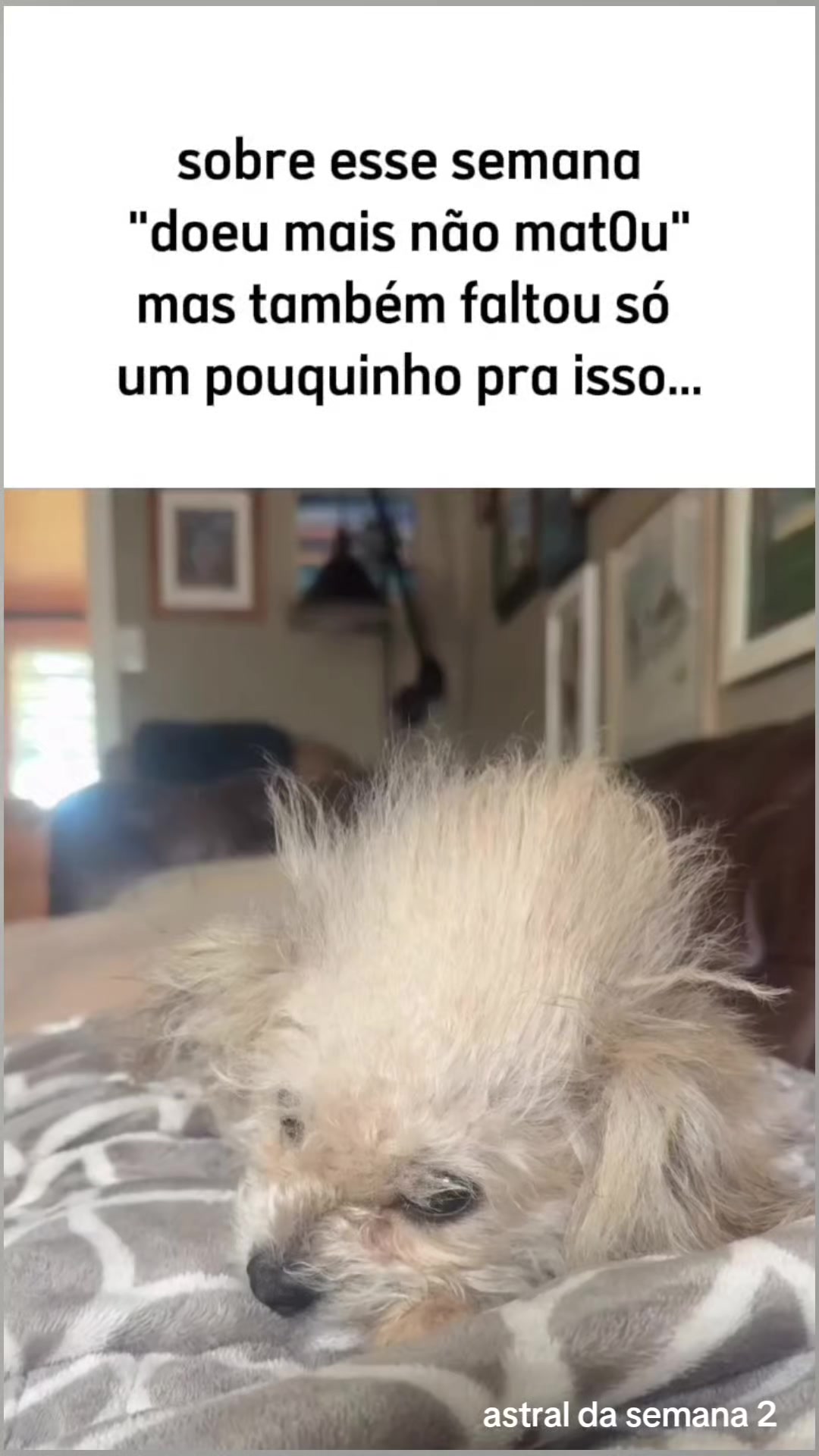 @Astral da semana 2