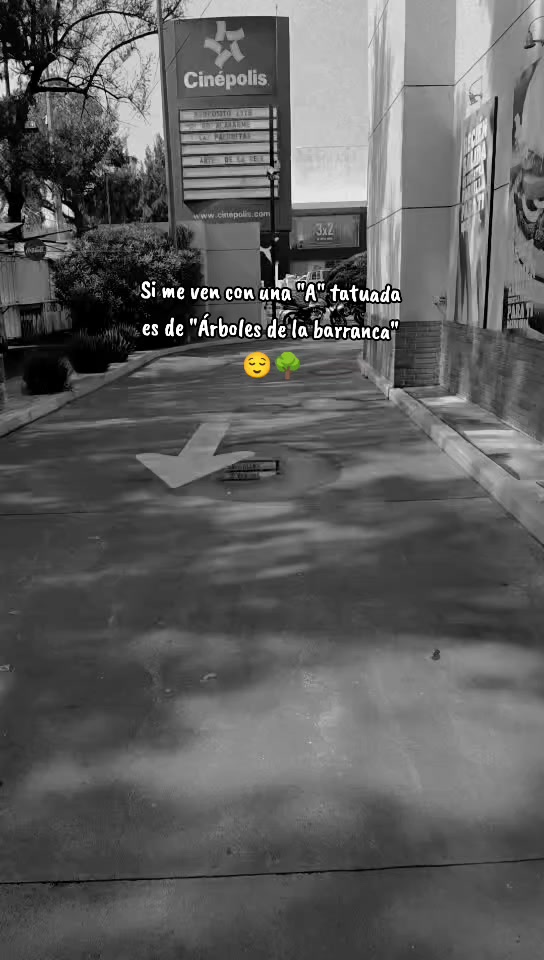 @🐝ܔܢܜܔ
