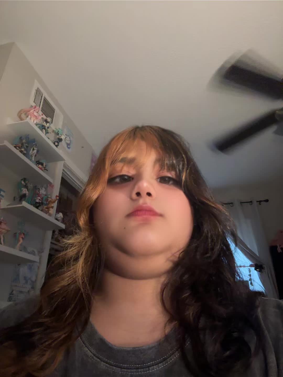@danichichi