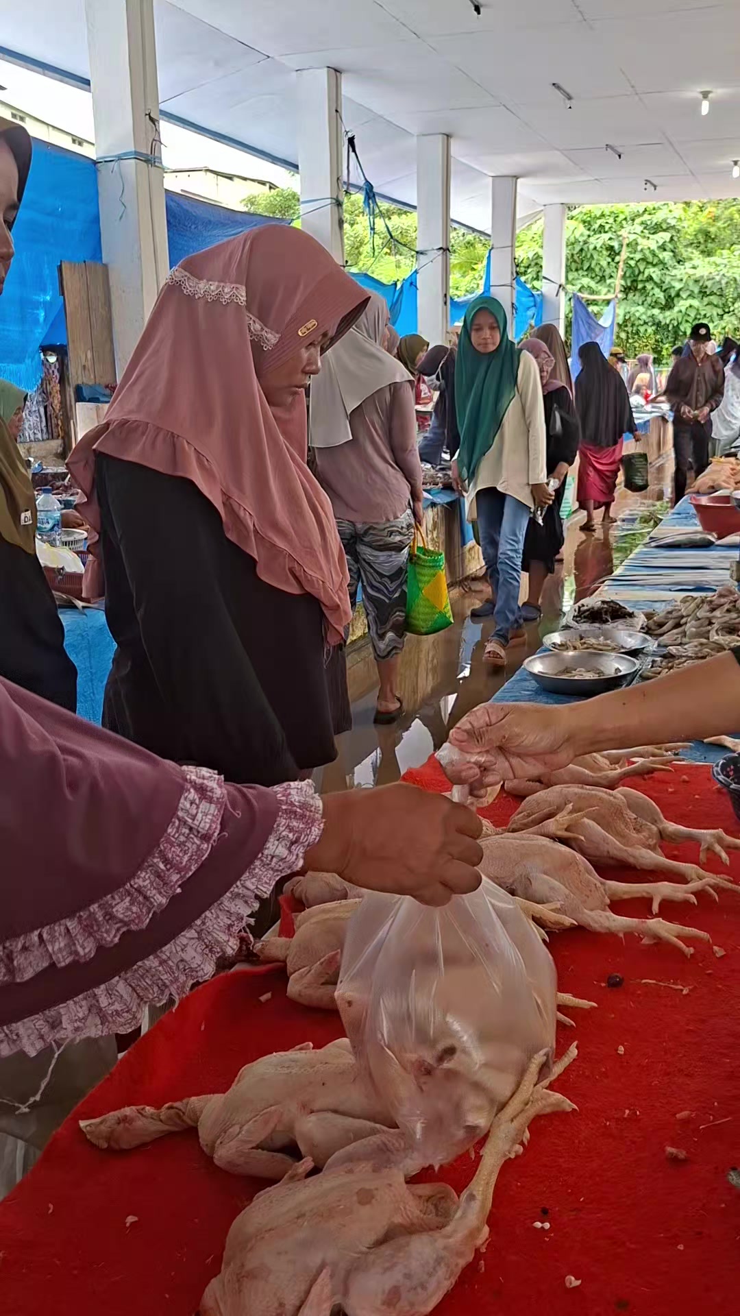 @Fesri Dwi Rindi Antika