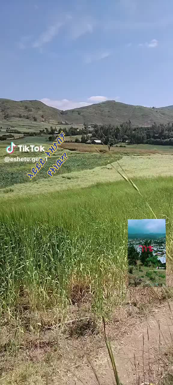 @ትንሿነኚ❤የገነቴዋ