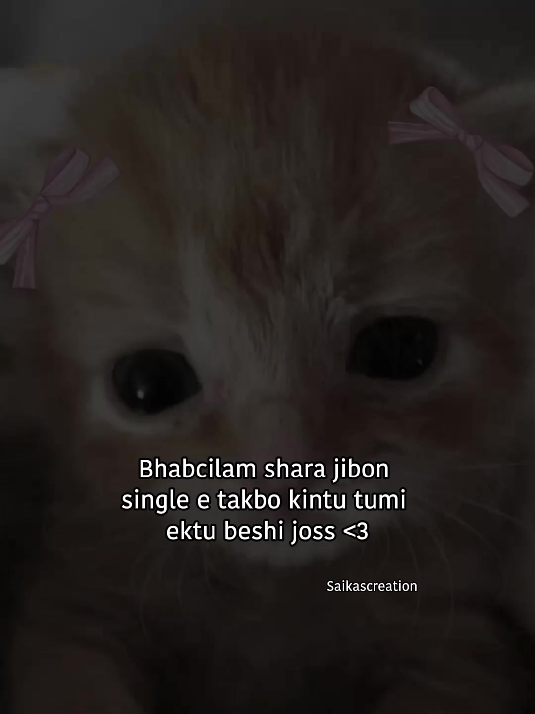 @Sakuu!🤍🕊️