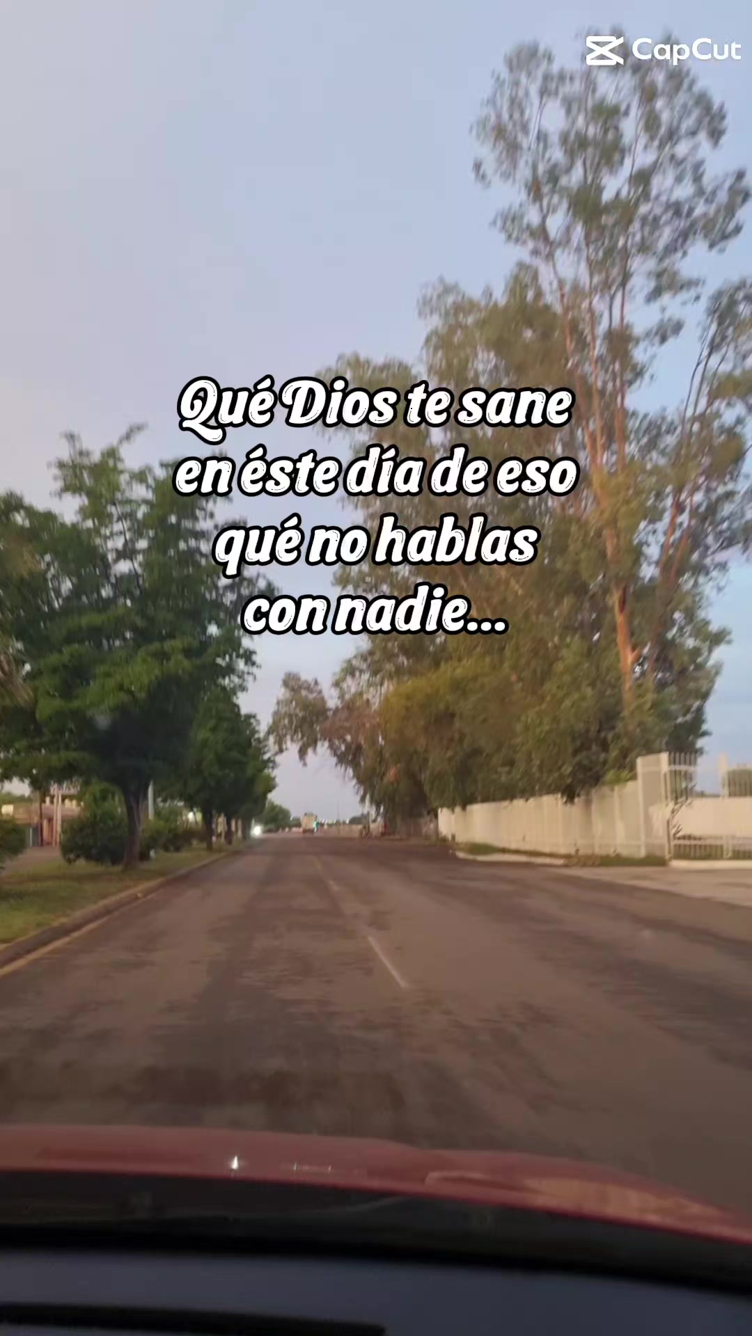 @devisdelosmochis