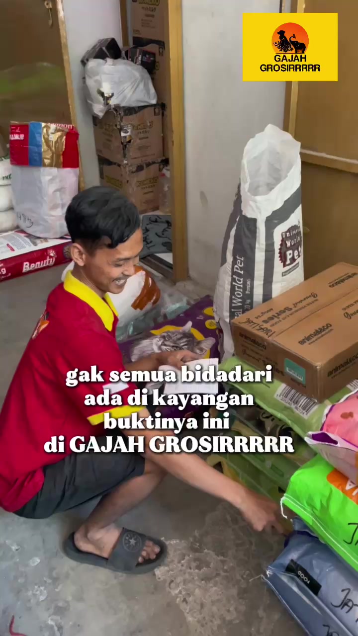 @Gajah Grosirrrrr