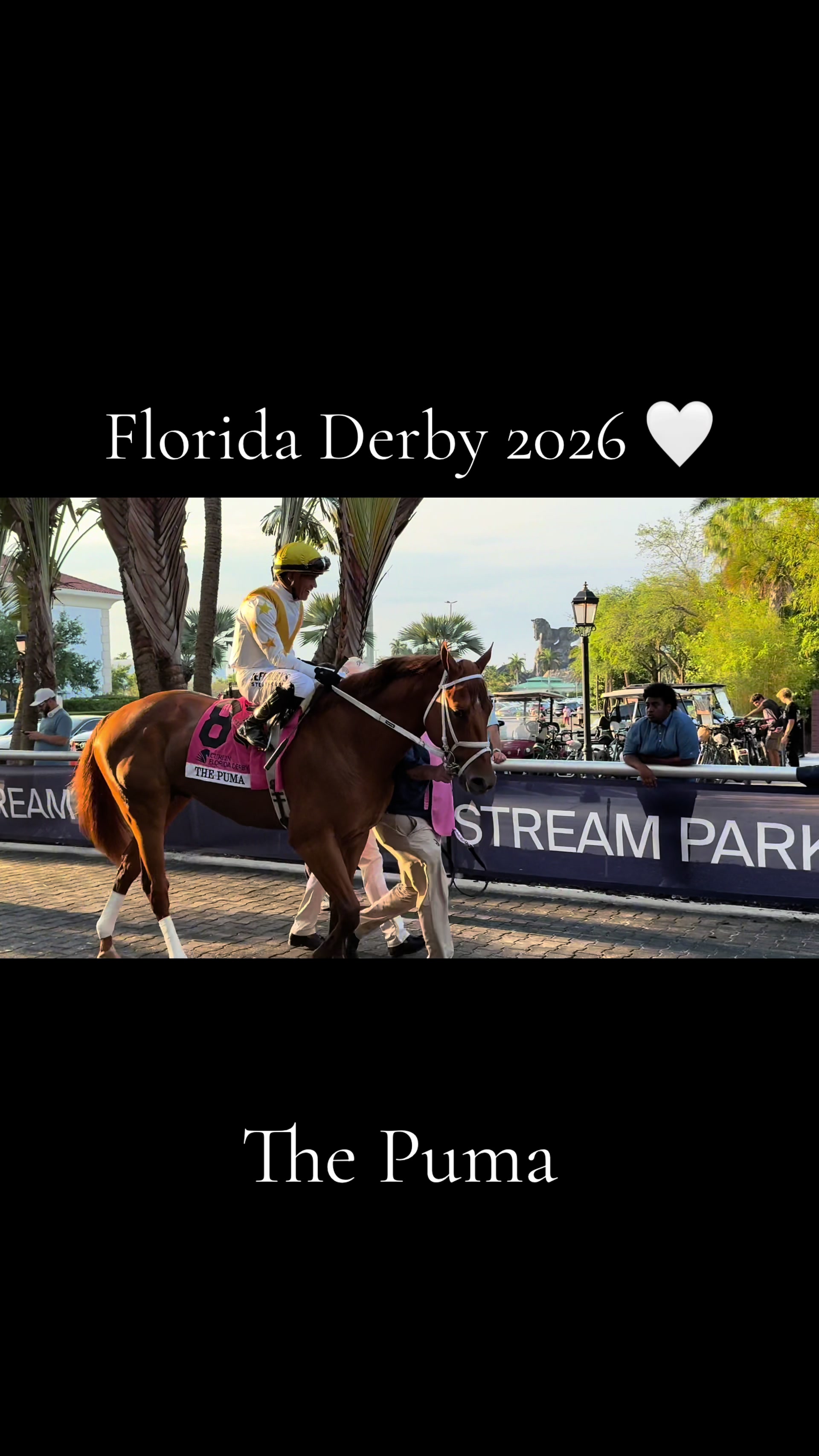 @gonzalezracingstables