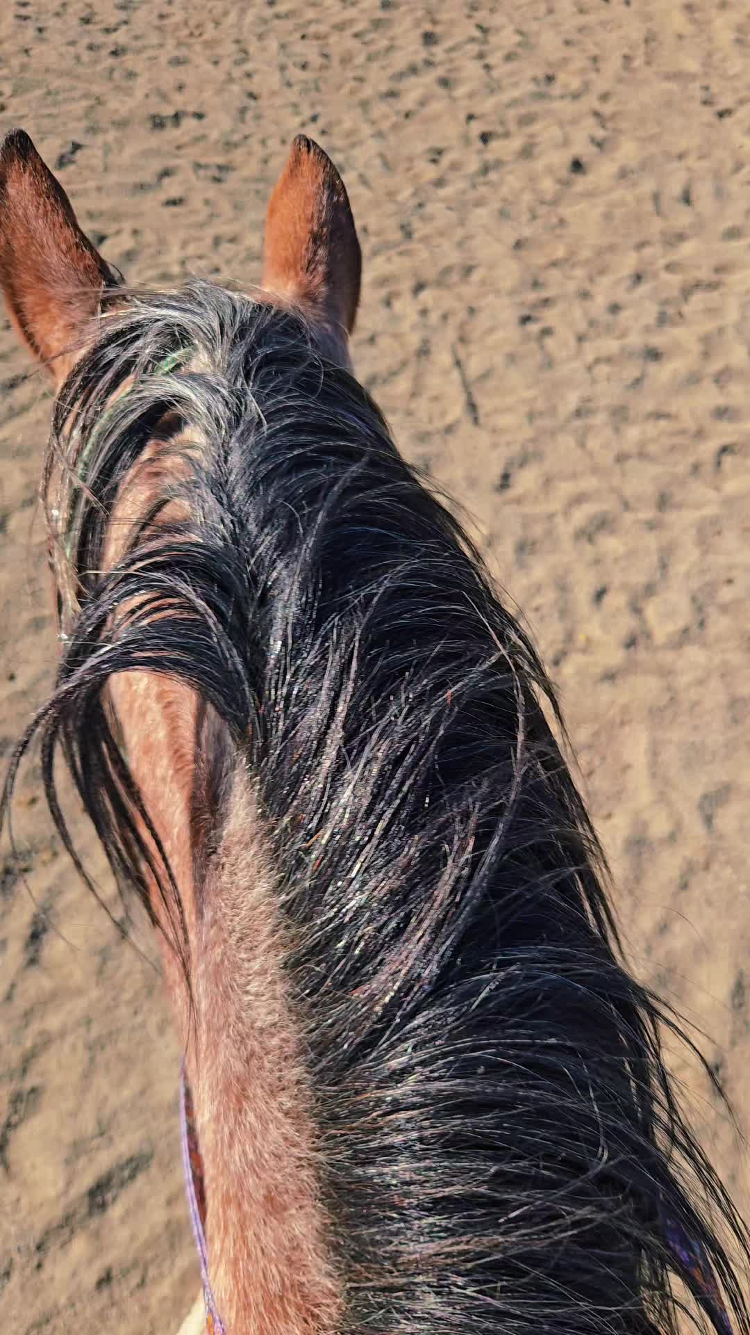 @Cowgirl Tuff Colt Training ❤️