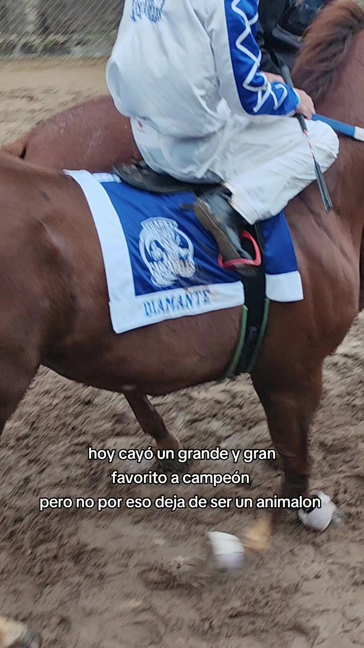 @carriles altos de jalisco🐎
