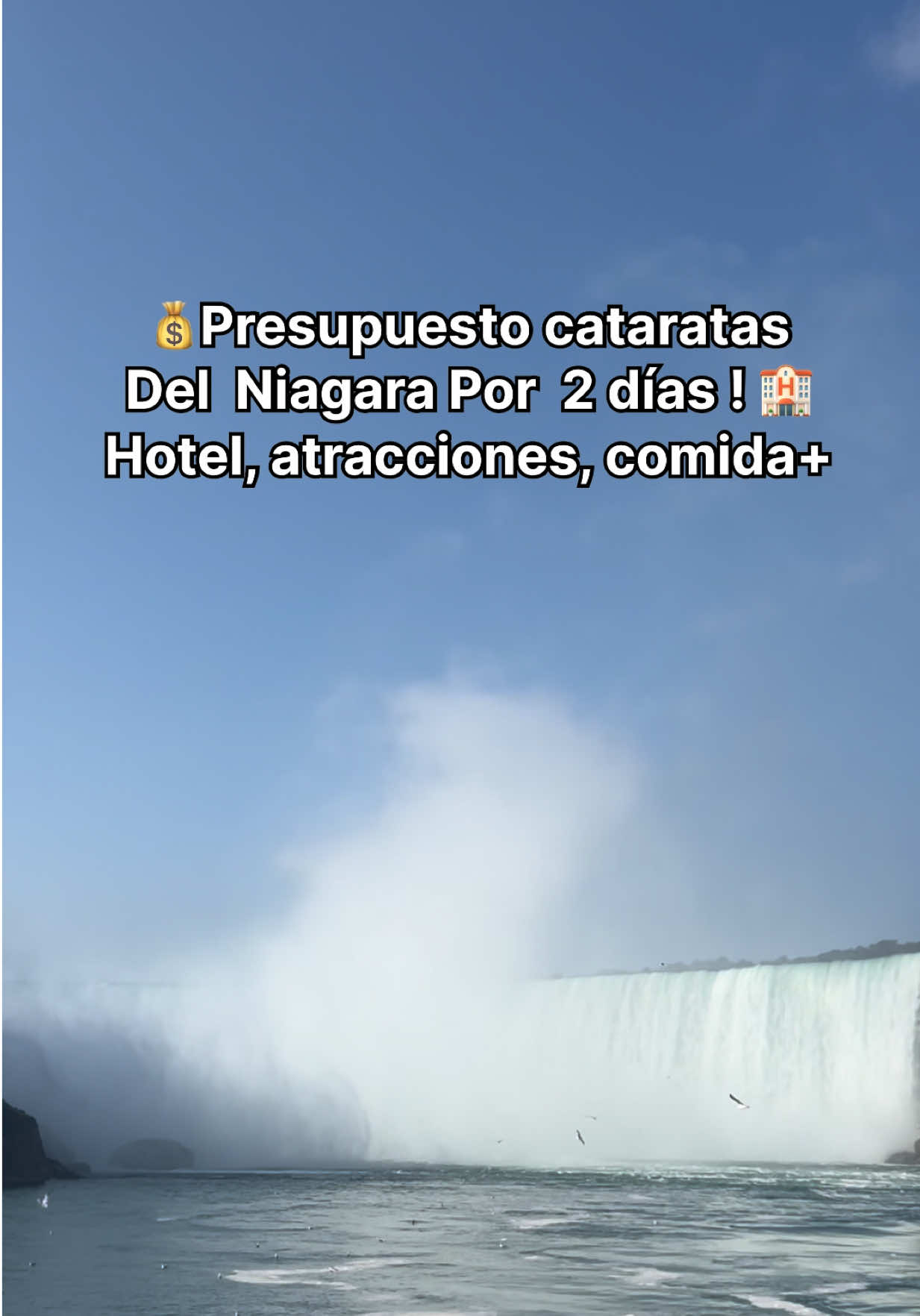 @Camilo Núñez