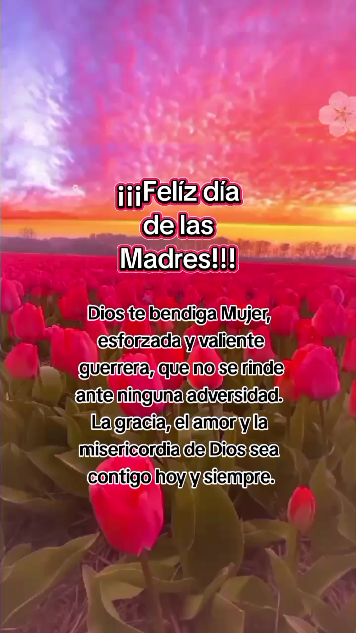 @dania💫🌷 López🤍🌷🤍🌷