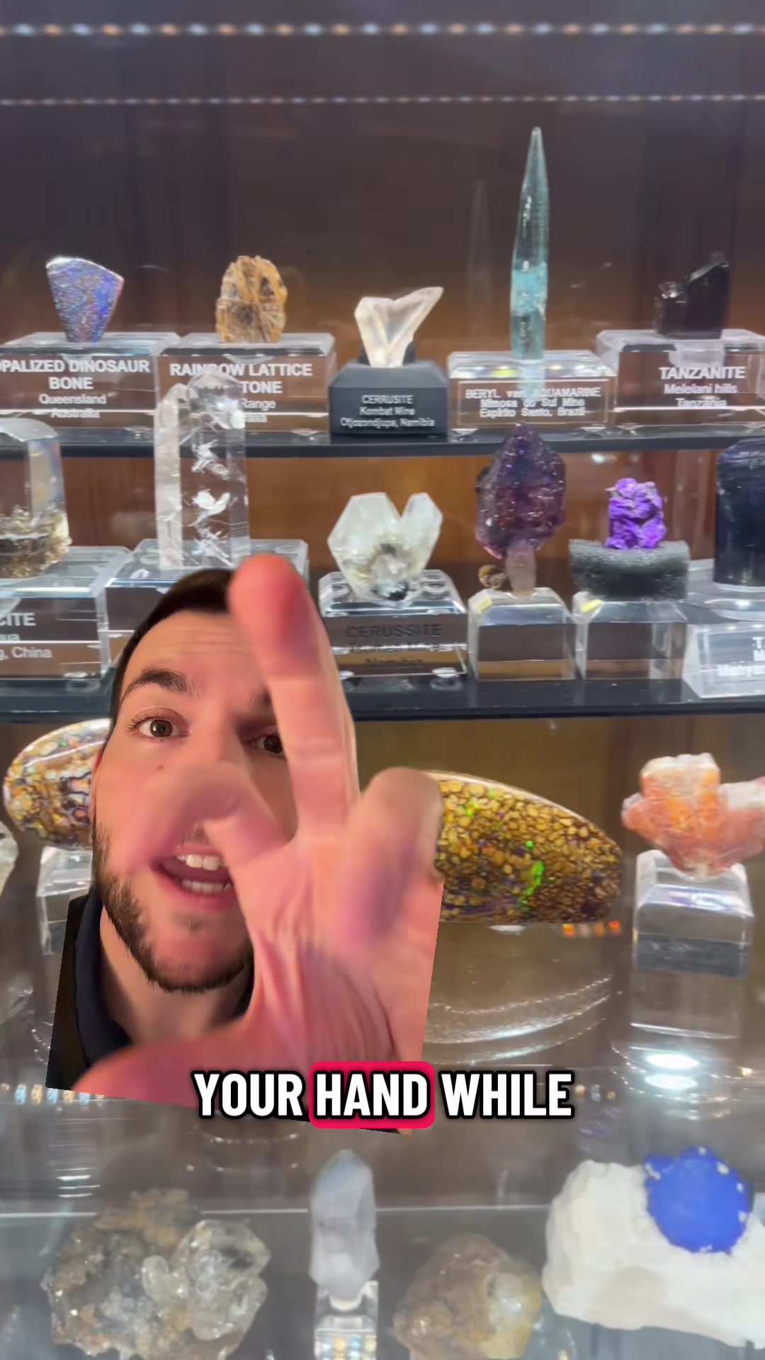 @Jake 💎