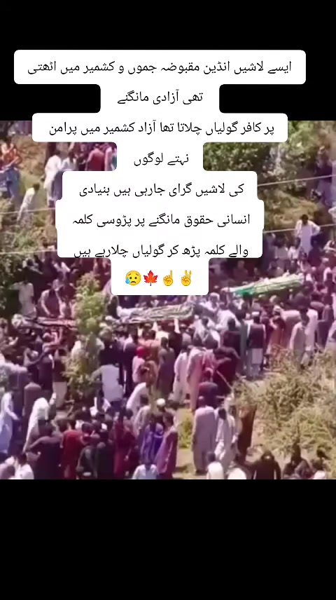 @Zulfiqar Chughtai786