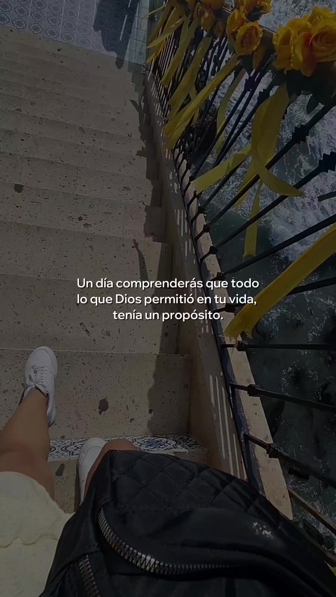@🦋14♡🦋🍃
