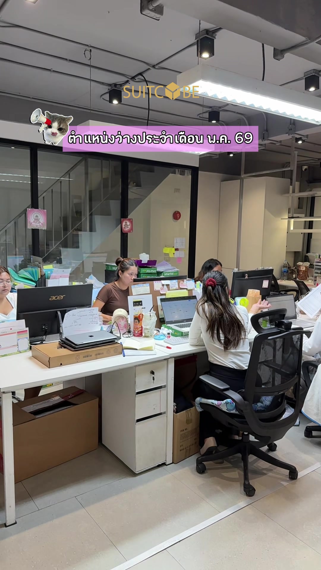@Suitcube Career