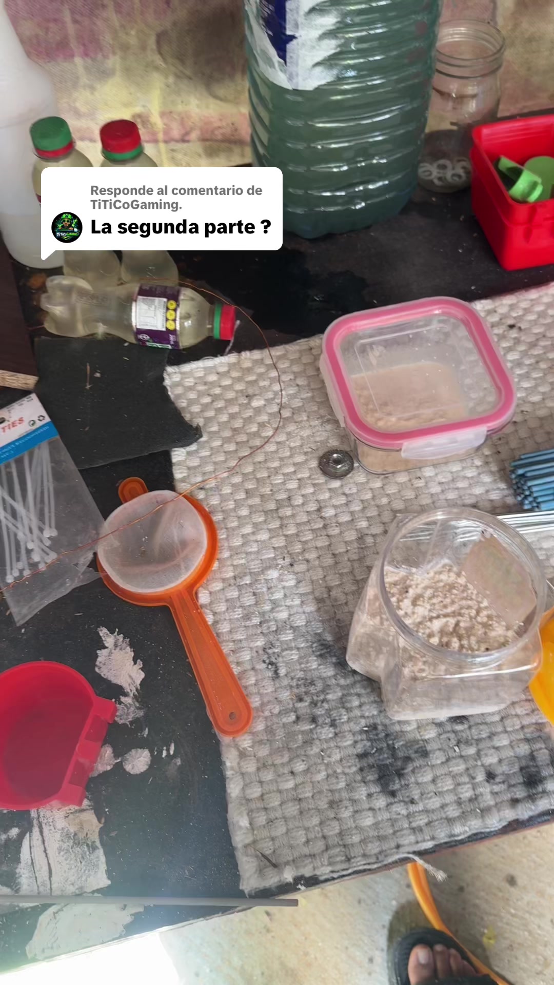 @Avipezrd